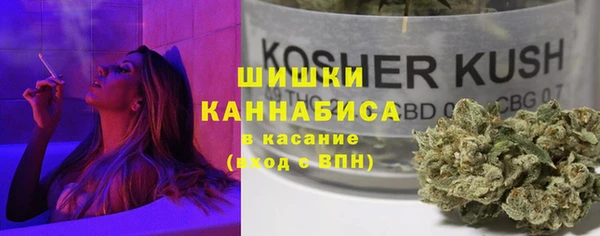 PSILOCYBIN Богданович