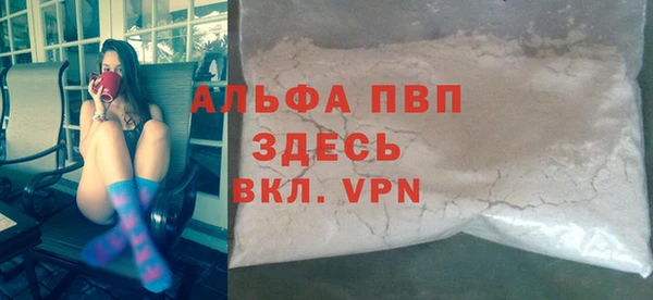 PSILOCYBIN Богданович