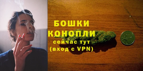 PSILOCYBIN Богданович