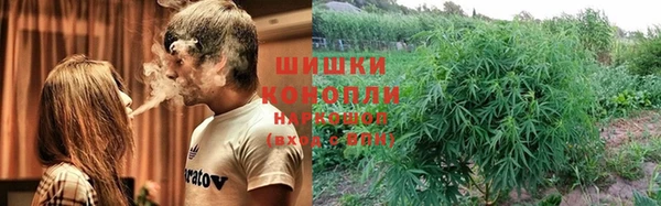 PSILOCYBIN Богданович