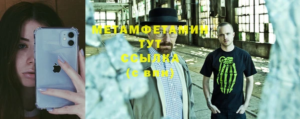 PSILOCYBIN Богданович