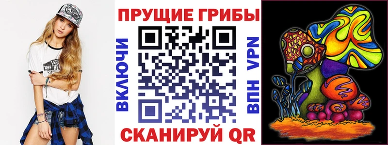 Купить  Анива  Галлюциногенные грибы MAGIC MUSHROOMS 